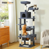 Grand arbre à chat pour Maine Coon – hamac, niches et poteaux sisal