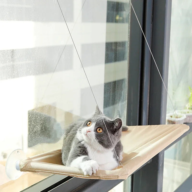 Hamac de fenêtre pour chat – ventouses, charge 20 kg