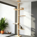 Arbre à chat du sol au plafond 5 niveaux – griffoirs sisal