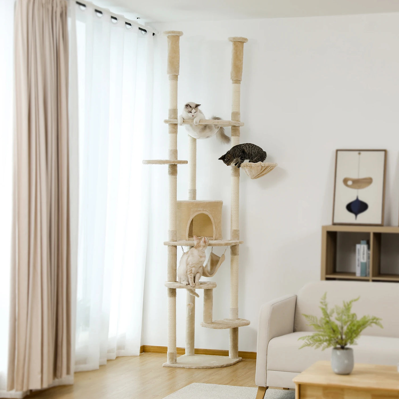 Arbre à chat du sol au plafond réglable – perchoirs et hamac