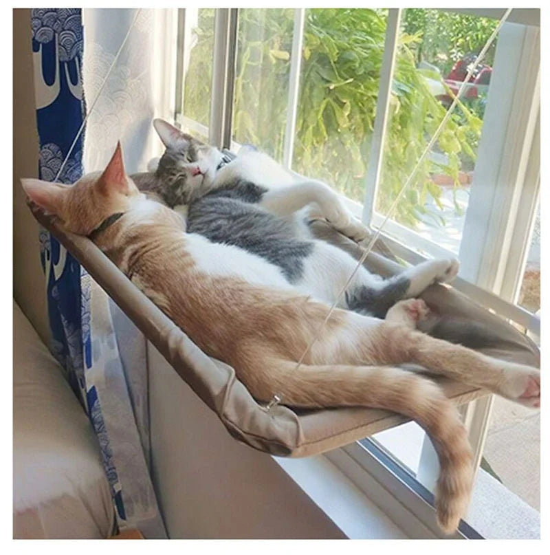 Hamac de fenêtre pour chat – ventouses, charge 20 kg