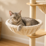 Chat tigré gris installé dans une coupelle-hamac de l'arbre à chat