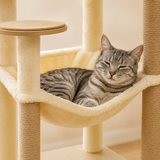 Chat tigré gris installé dans le hamac moelleux de l'arbre à chat