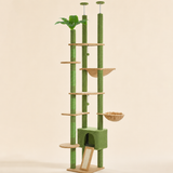 Arbre à chat sol au plafond bambou vert, vue d'ensemble sur fond neutre