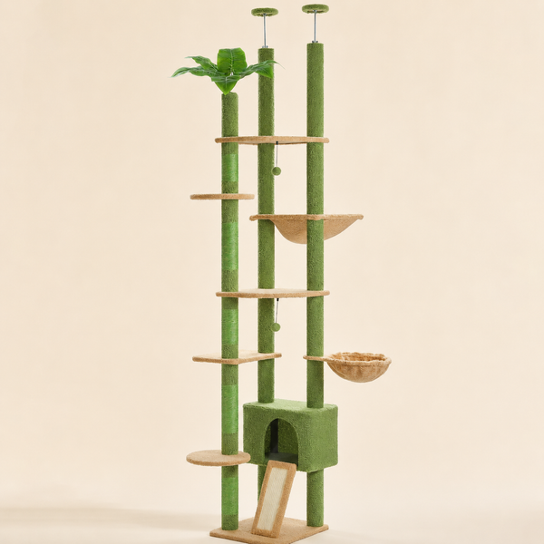 Arbre à chat sol au plafond bambou vert, vue d'ensemble sur fond neutre