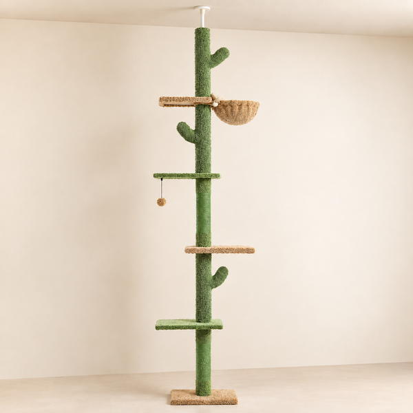 Arbre à chat cactus du sol au plafond, vue studio des 5 niveaux avec hamac et plateformes