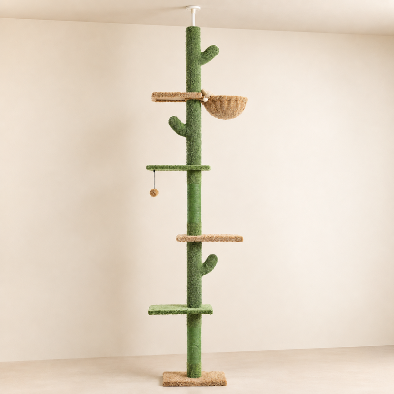 Arbre à chat cactus du sol au plafond, vue studio des 5 niveaux avec hamac et plateformes