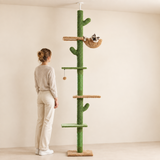 Arbre à chat cactus sol-plafond à côté d'une personne debout, repère d'échelle de 229 à 275 cm