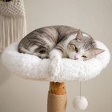 Chat tigré endormi en boule dans le perchoir fleur en polaire blanche