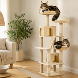 Deux Maine Coon adultes installés sur l'arbre à chat, échelle réelle