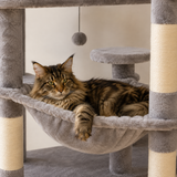 Maine Coon allongé dans le hamac 51 x 41 cm tendu sur cadre acier