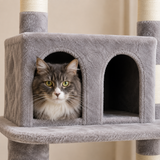 Chat gris dans la niche haute 34 x 30 cm à deux ouvertures en arche