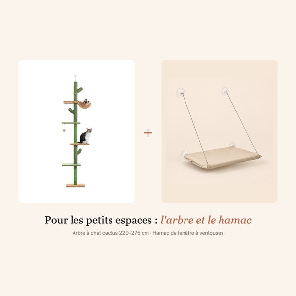 Pack petit appartement : arbre à chat cactus du sol au plafond et hamac de fenêtre à ventouses
