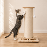 Chat tigré dressé sur ses pattes arrière en train de griffer la colonne de sisal